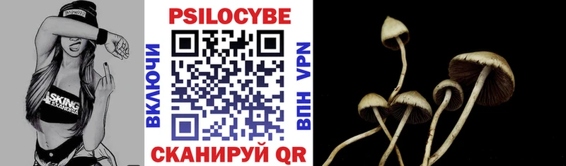 наркотики Алексин Галлюциногенные грибы Psilocybe